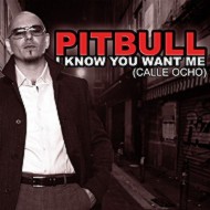 Pitbull - Обложка